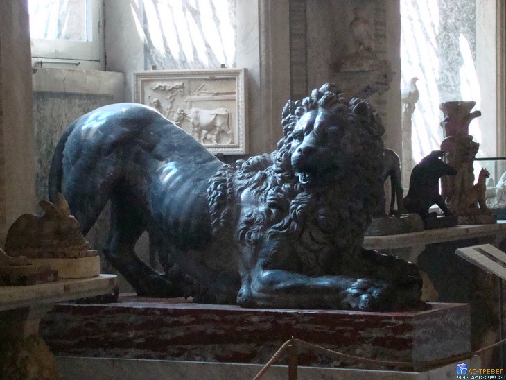 ���� �� ������� � ������