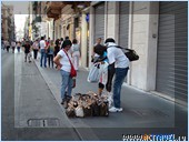 ���� �� ������� � ������