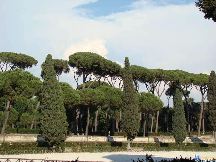 ���� �� ������� � ������