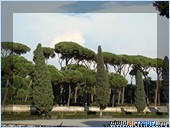 ���� �� ������� � ������