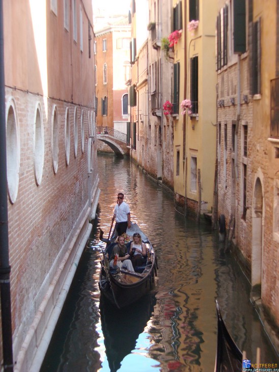 ���� �� ������� � ������