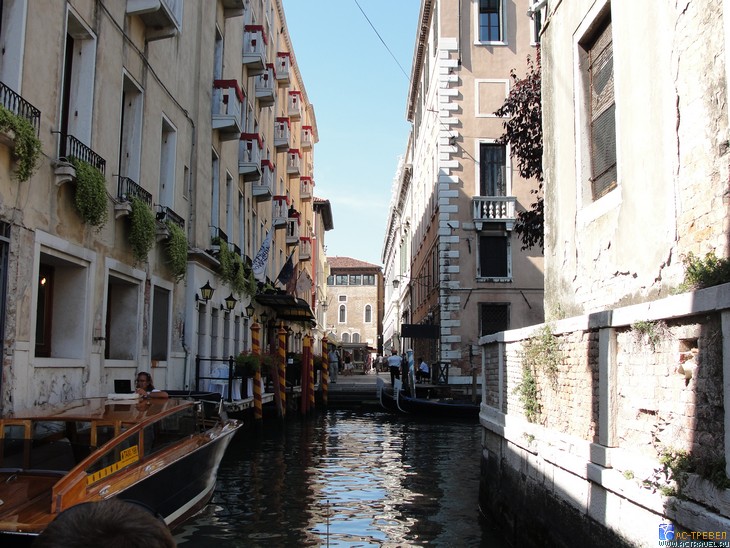 ���� �� ������� � ������