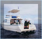 Отель Jean-Michel Cousteau Fiji Islands Resort, Фиджи