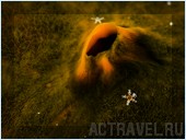 Погружение. Отель Mataking The Reef Dive Resort, остров Матакинг, штат Сабах, Малайзия