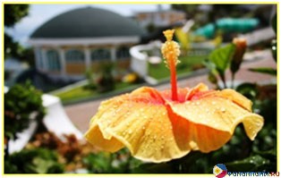 ����� Monaco Suites de Boracay, �. �������, ���������