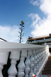 ����� Monaco Suites de Boracay, �. �������, ���������