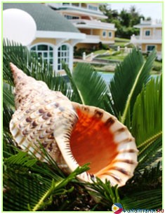 ����� Monaco Suites de Boracay, �. �������, ���������