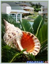 ����� Monaco Suites de Boracay, �. �������, ���������
