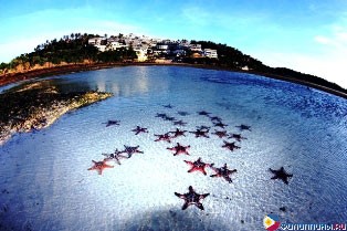����� Monaco Suites de Boracay, �. �������, ���������