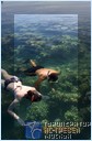 .  - Nukubati Private Island Great Sea Reef
