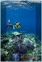 .  - Nukubati Private Island Great Sea Reef
