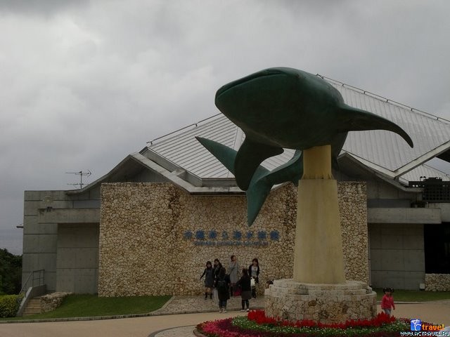 Аквариум на о. Окинава, Япония, Okinawa Churaumi Aquarium