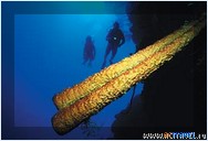 ����-������ �� ���� MV Sun Dancer II, �����
