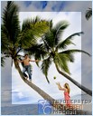 Кокосовые пальмы. Отель The Pearl South Pacific, Фиджи.