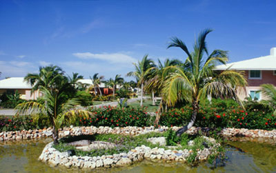 Отель Paradisus Río de Oro Resort & Spa, Ольгин