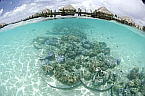  Bora Bora Pearl Beach Resort
