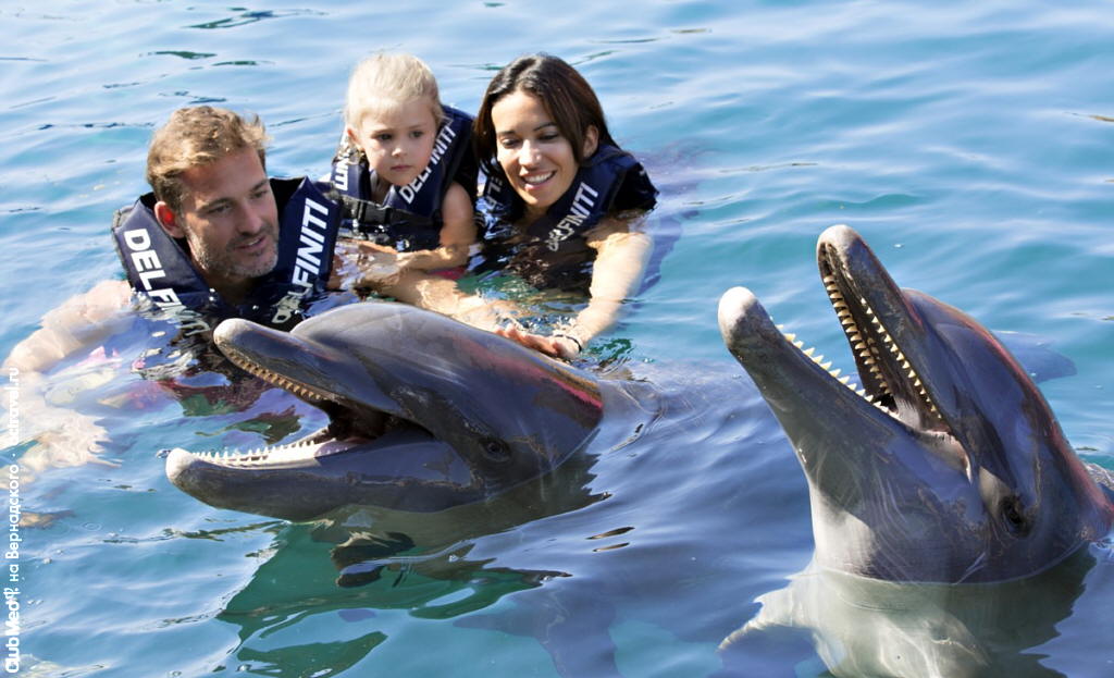 Плавание с дельфинами в Club Med Ixtapa Pacific