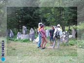      .   ,  , -,     .        ,      :  , ...    