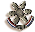 Значок, вручаемый прошедшему ступень Étoile de bronze во Французской лыжной школе ESF
