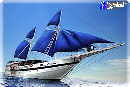 Дайверская яхта Fiji Siren