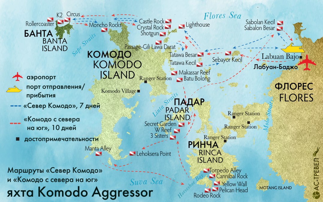    Komodo Aggressor   