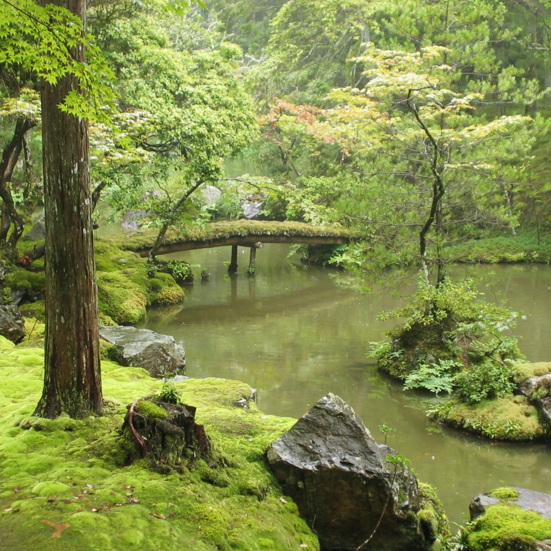 Сад мхов в буддийском монастыре Сайхо-дзи, Киото