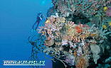 North Sulawesi Aggressor