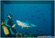 ����-������ �� ���������, ����-��� Ocean Dancer