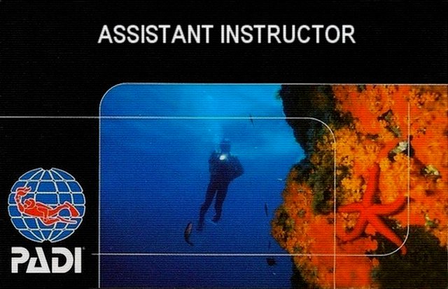  PADI Assistant Instructor