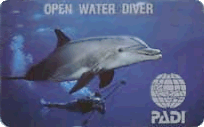 ������� ��� ����������� PADI Open Water Diver