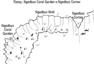 Схема дайв-сайтов Ngedebus Coral Garden и Ngedebus Corner