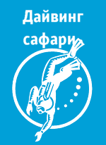 ����-������