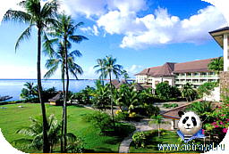Sheraton Hotel, �����